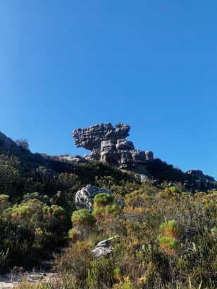 Table Mountain